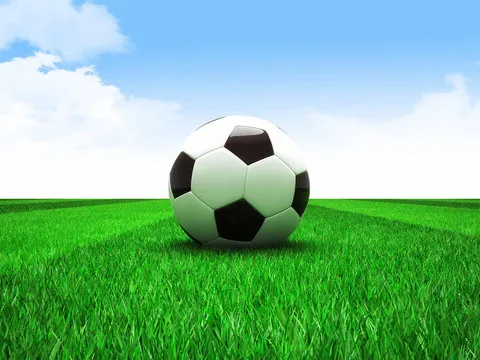 品牌口碑与荣誉